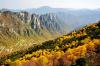 漫山紅遍